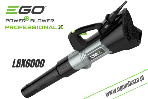 Dmuchawa LBX6000 Professional-X